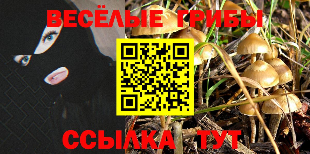 Галлюциногенные грибы Cubensis Зеленокумск
