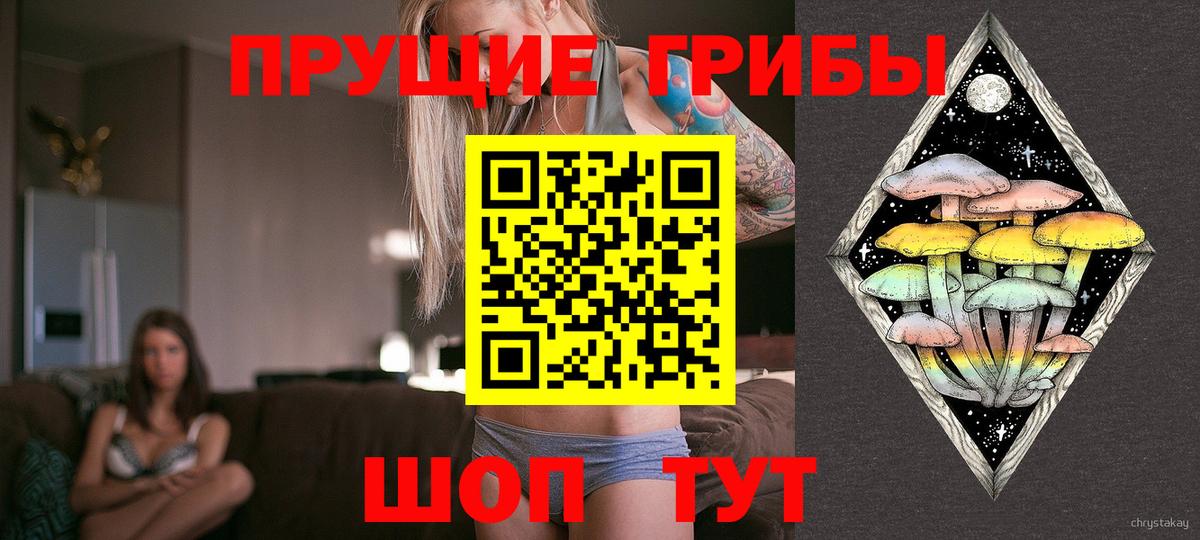 Псилоцибиновые грибы Magic Shrooms  Вход с VPN  Зеленокумск  Галлюциногенные грибы мухоморы 